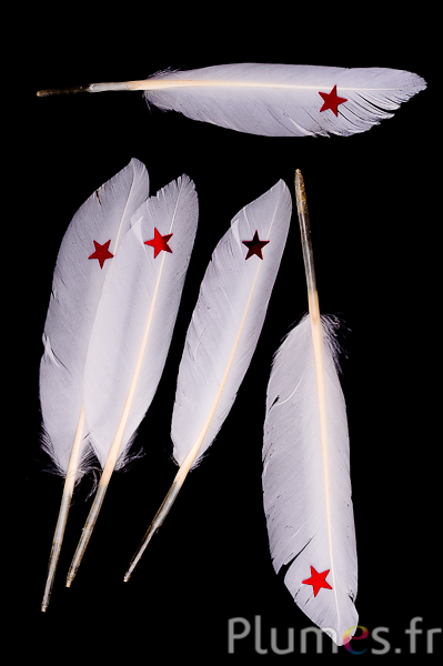 Oie Lame avec étoile rouge - 12-17 cm - blanc-crème